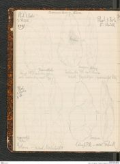 Seite 134, Tagebuch "Palästina (Tagebuch)" (NHMW-PRAE-BBB-80)